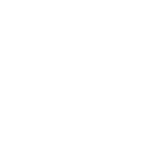 Surge Protection Icon