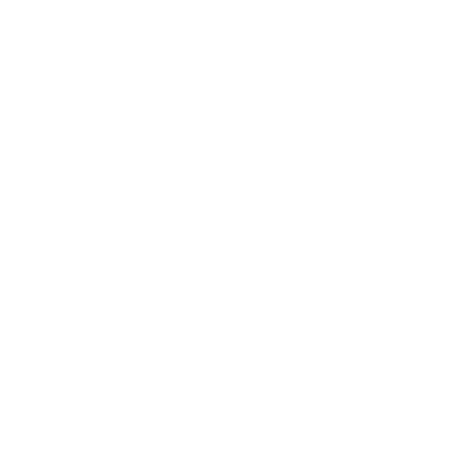 White video surveiliance video surveiliance